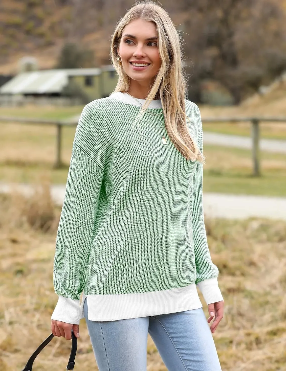 Zeagoo Women 2024 Winter Oversized Sweater Crew Neck Long Sleeve Color Block Pullover Rib Knit Blouse Tops XS-2XL